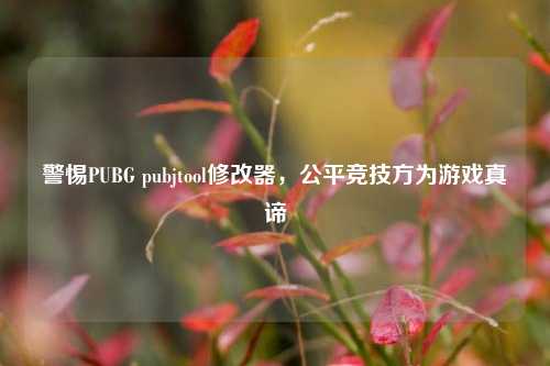 警惕PUBG pubjtool修改器,公平竞技方为游戏真谛