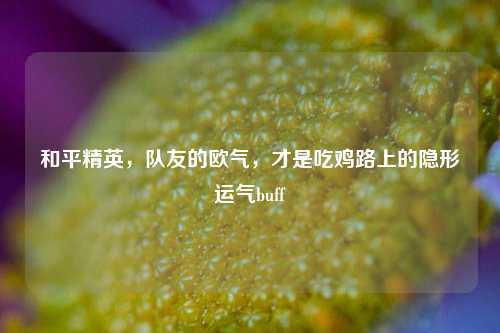 和平精英,队友的欧气,才是吃鸡路上的隐形运气buff