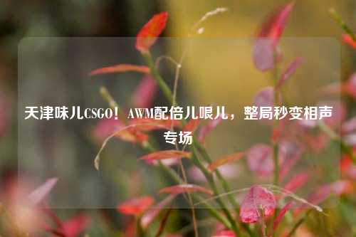 天津味儿CSGO！AWM配倍儿哏儿，整局秒变相声专场