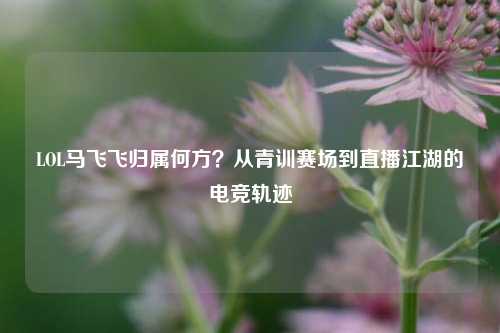 LOL马飞飞归属何方?从青训赛场到直播江湖的电竞轨迹