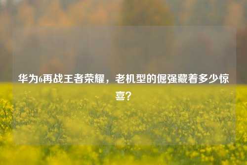 华为6再战王者荣耀，老机型的倔强藏着多少惊喜？