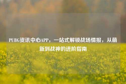PUBG资讯中心APP，一站式解锁战场情报，从萌新到战神的进阶指南
