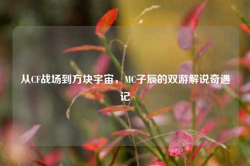从CF战场到方块宇宙,MC子辰的双游解说奇遇记