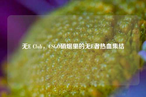 无E Club,CSGO硝烟里的无E者热血集结