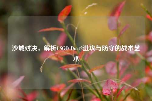 沙城对决，解析CSGO Dust2进攻与防守的战术艺术