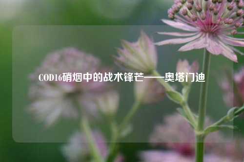 COD16硝烟中的战术锋芒——奥塔门迪
