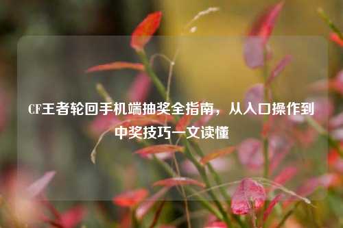 CF王者轮回手机端抽奖全指南,从入口操作到中奖技巧一文读懂