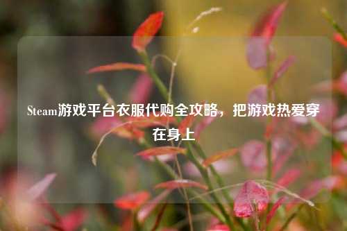Steam游戏平台衣服代购全攻略,把游戏热爱穿在身上