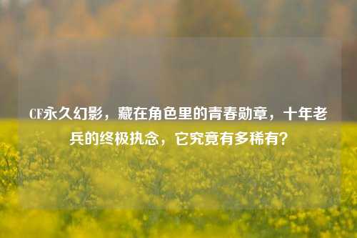 CF永久幻影,藏在角色里的青春勋章,十年老兵的终极执念,它究竟有多稀有?