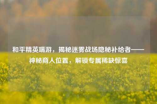 和平精英端游,揭秘迷雾战场隐秘补给者——神秘商人位置,解锁专属稀缺惊喜