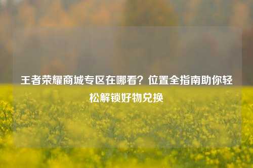 王者荣耀商城专区在哪看?位置全指南助你轻松解锁好物兑换