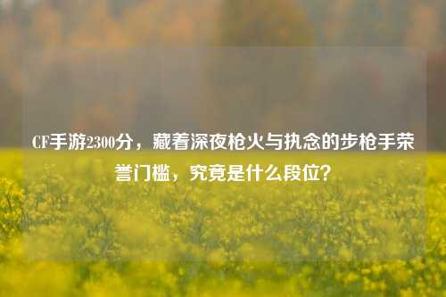 CF手游2300分，藏着深夜枪火与执念的步枪手荣誉门槛，究竟是什么段位？