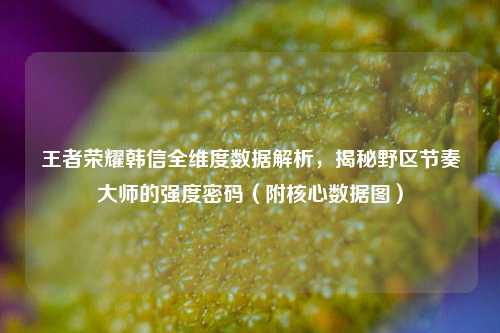王者荣耀韩信全维度数据解析,揭秘野区节奏大师的强度密码(附核心数据图)