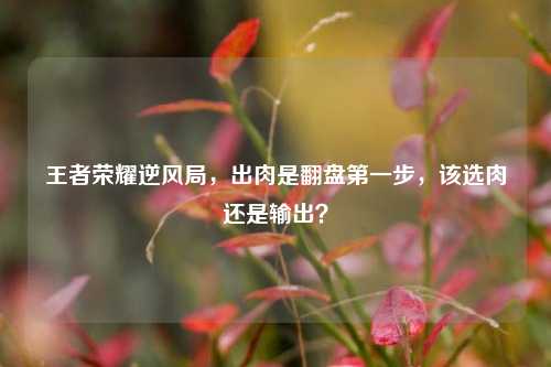 王者荣耀逆风局，出肉是翻盘第一步，该选肉还是输出？