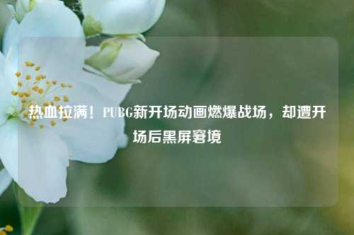 热血拉满!PUBG新开场动画燃爆战场,却遭开场后黑屏窘境