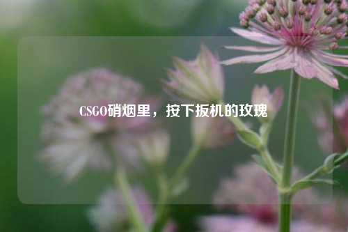 CSGO硝烟里，按下扳机的玫瑰