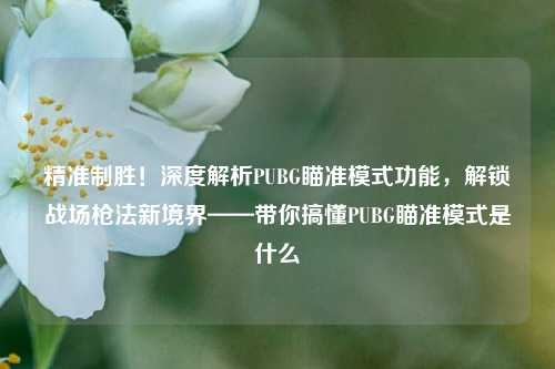 精准制胜!深度解析PUBG瞄准模式功能,解锁战场枪法新境界——带你搞懂PUBG瞄准模式是什么