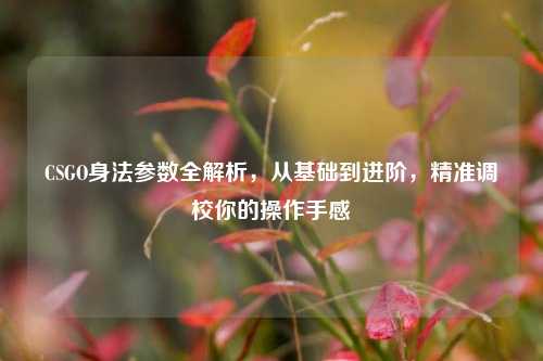 CSGO身法参数全解析,从基础到进阶,精准调校你的操作手感
