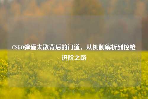 CSGO弹道太散背后的门道,从机制解析到控枪进阶之路