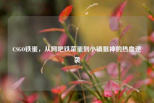 CSGO铁蛋，从网吧铁菜蛋到小镇狙神的热血逆袭