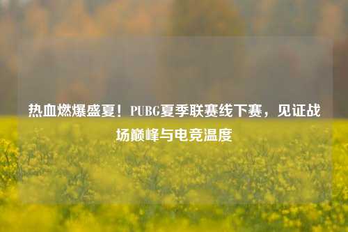 热血燃爆盛夏！PUBG夏季联赛线下赛，见证战场巅峰与电竞温度