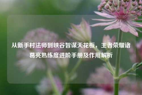 从新手村法师到峡谷智谋天花板,王者荣耀诸葛亮熟练度进阶手册及作用解析