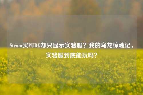 Steam买PUBG却只显示实验服?我的乌龙惊魂记,实验服到底能玩吗?