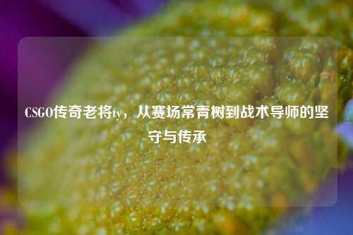 CSGO传奇老将ty，从赛场常青树到战术导师的坚守与传承