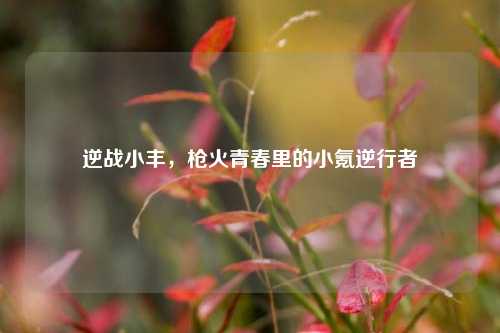 逆战小丰，枪火青春里的小氪逆行者