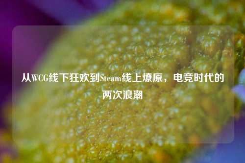 从WCG线下狂欢到Steam线上燎原,电竞时代的两次浪潮