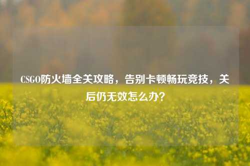 CSGO防火墙全关攻略,告别卡顿畅玩竞技,关后仍无效怎么办?