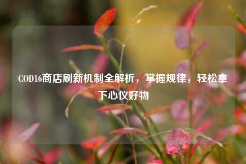 COD16商店刷新机制全解析,掌握规律,轻松拿下心仪好物