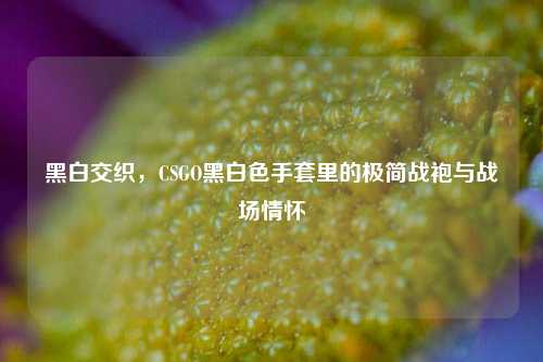 黑白交织,CSGO黑白色手套里的极简战袍与战场情怀
