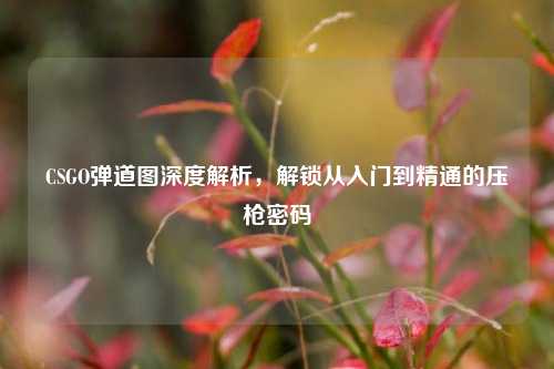 CSGO弹道图深度解析,解锁从入门到精通的压枪密码