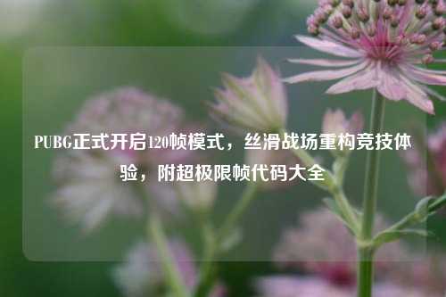 PUBG正式开启120帧模式,丝滑战场重构竞技体验,附超极限帧代码大全
