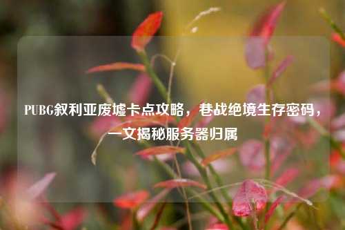 PUBG叙利亚废墟卡点攻略,巷战绝境生存密码,一文揭秘服务器归属