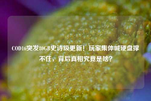 COD16突发80GB史诗级更新!玩家集体喊硬盘撑不住,背后真相究竟是啥?