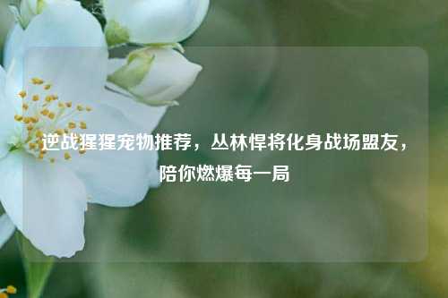 逆战猩猩宠物推荐,丛林悍将化身战场盟友,陪你燃爆每一局