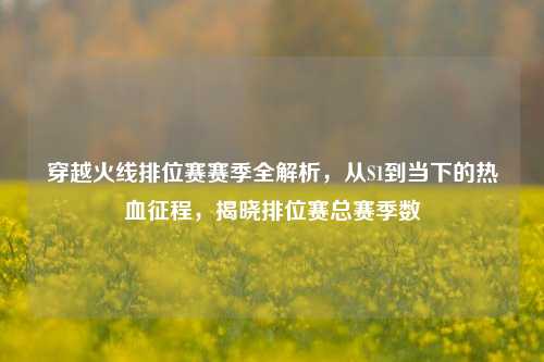 穿越火线排位赛赛季全解析,从S1到当下的热血征程,揭晓排位赛总赛季数