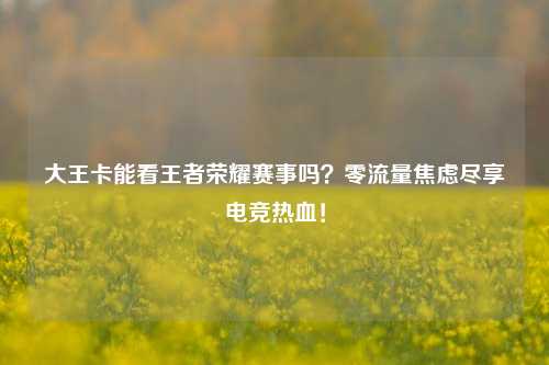 大王卡能看王者荣耀赛事吗?零流量焦虑尽享电竞热血!
