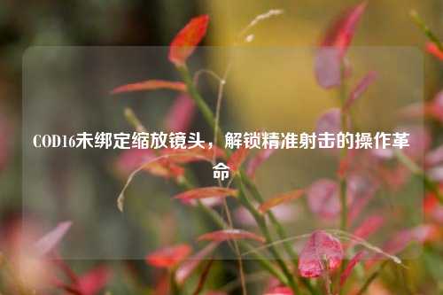 COD16未绑定缩放镜头，解锁精准射击的操作革命