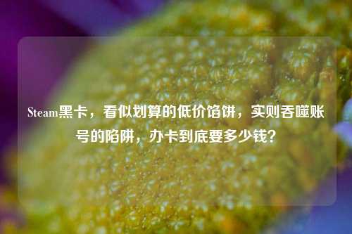Steam黑卡,看似划算的低价馅饼,实则吞噬账号的陷阱,办卡到底要多少钱?