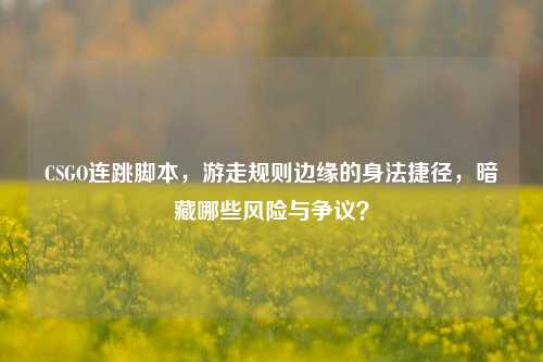 CSGO连跳脚本，游走规则边缘的身法捷径，暗藏哪些风险与争议？