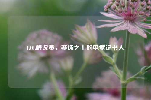 LOL解说员，赛场之上的电竞说书人
