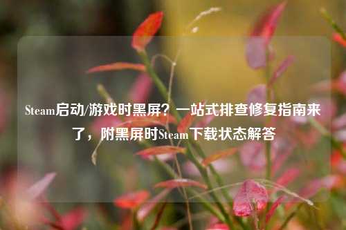Steam启动/游戏时黑屏?一站式排查修复指南来了,附黑屏时Steam下载状态解答
