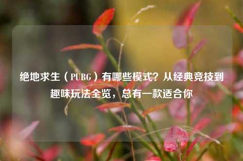 绝地求生(PUBG)有哪些模式?从经典竞技到趣味玩法全览,总有一款适合你