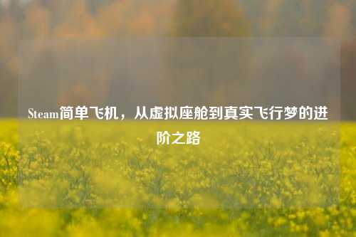 Steam简单飞机，从虚拟座舱到真实飞行梦的进阶之路