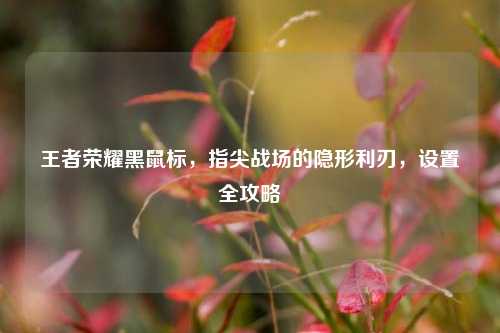 王者荣耀黑鼠标,指尖战场的隐形利刃,设置全攻略
