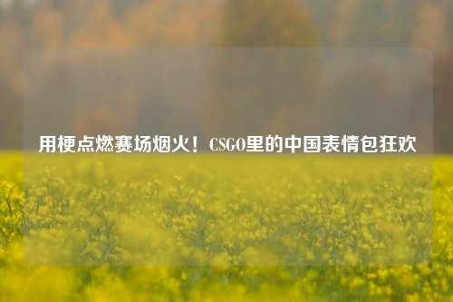 用梗点燃赛场烟火！CSGO里的中国表情包狂欢