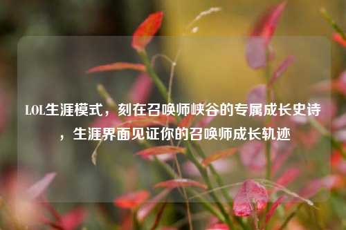 LOL生涯模式,刻在召唤师峡谷的专属成长史诗,生涯界面见证你的召唤师成长轨迹